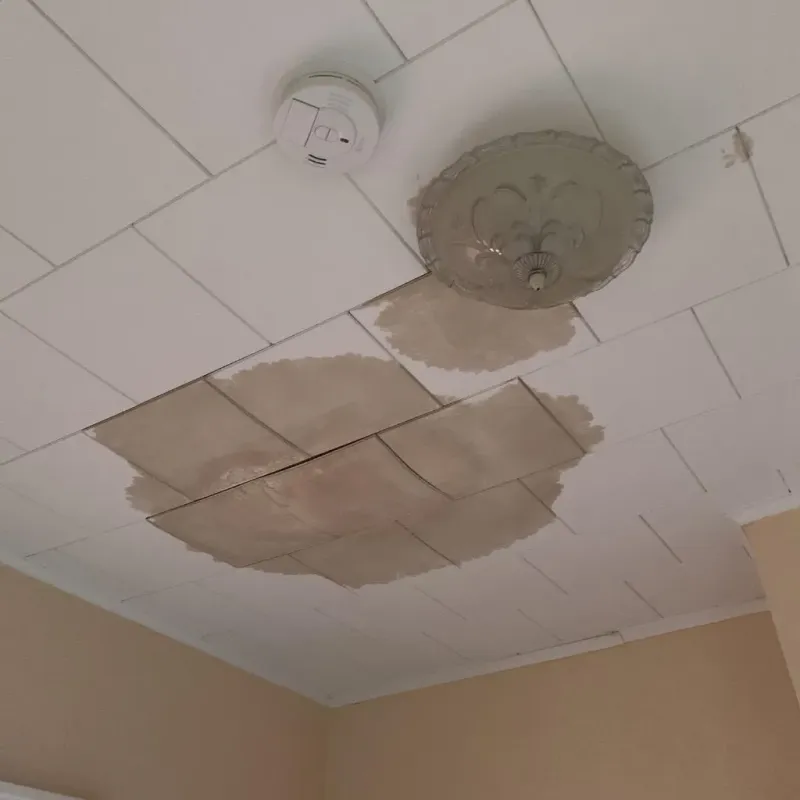 Ceiling Water Damage Repair in Mountain View, NC