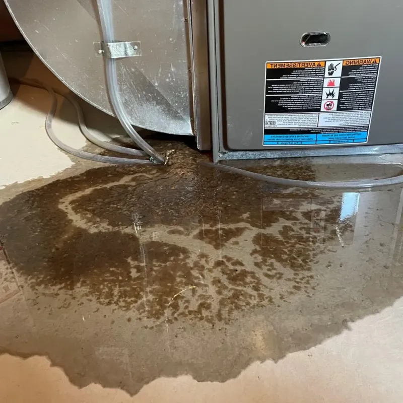 Pipe Burst and Leak Restoration in Mountain View, NC