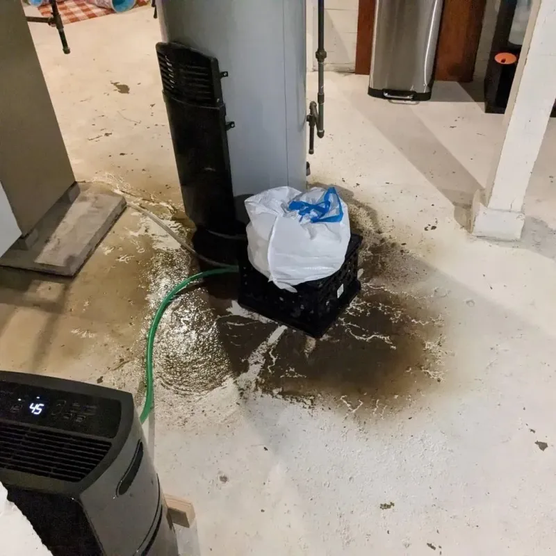Sewage Backup Cleanup Service in Mountain View, NC